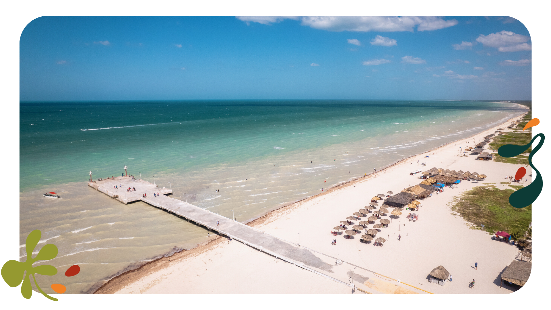 Playa, vida costera en sisal 
