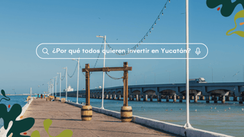 Mercado Inmobiliario en Yucatán: ¿Por qué todos quieren invertir aquí?