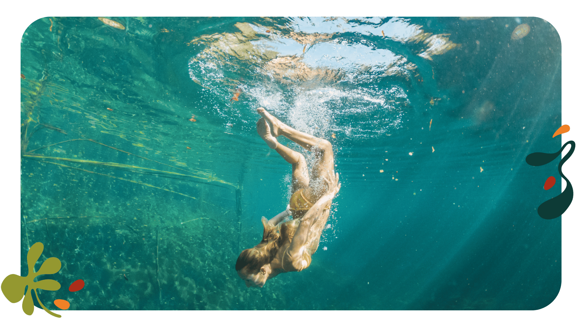 cenote (1)